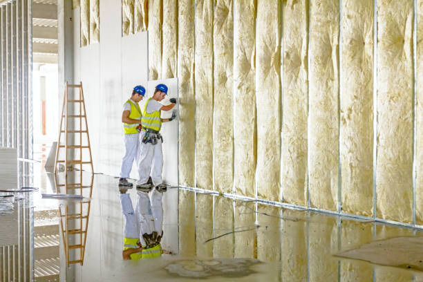Best Types of Insulation in Black Canyon City, AZ